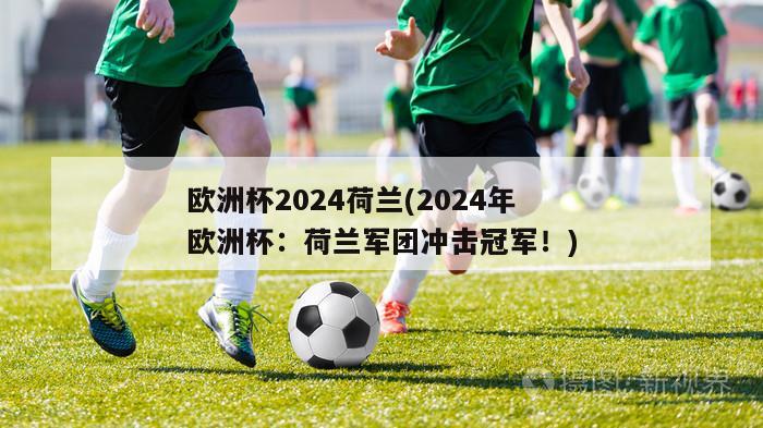 欧洲杯2024荷兰(2024年欧洲杯：荷兰军团冲击冠军！)