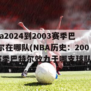 nba2024到2003赛季巴特尔在哪队(NBA历史：2003赛季巴特尔效力于哪支球队？)