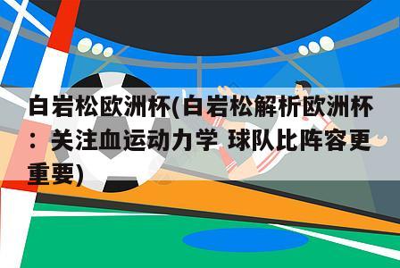 白岩松欧洲杯(白岩松解析欧洲杯：关注血运动力学 球队比阵容更重要)